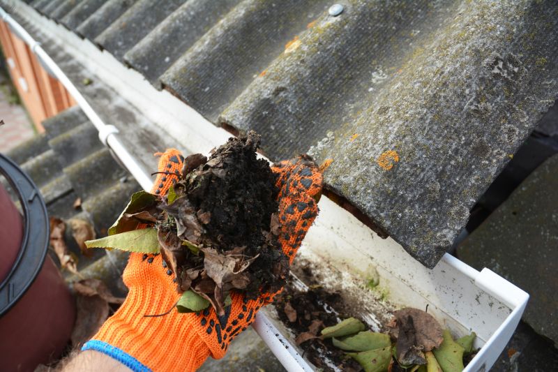 Garage Gutter Cleaning in Fredericksburg, VA